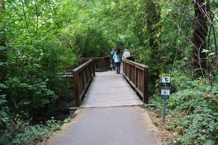 Zig-zag boardwalk with railings transitions from paved Oak Trail – surface slick when wet